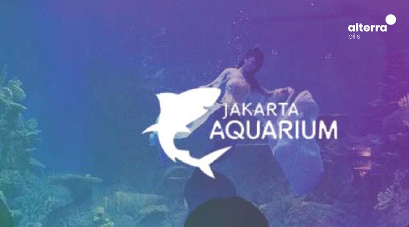 Hal yang Perlu Kamu Ketahui Tentang Jakarta Aquarium