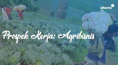 secerah-apa-prospek-kerja-jurusan-agribisnis