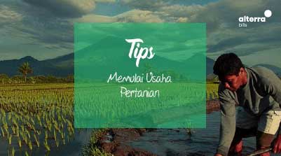 tips-memulai-usaha-pertanian-organik